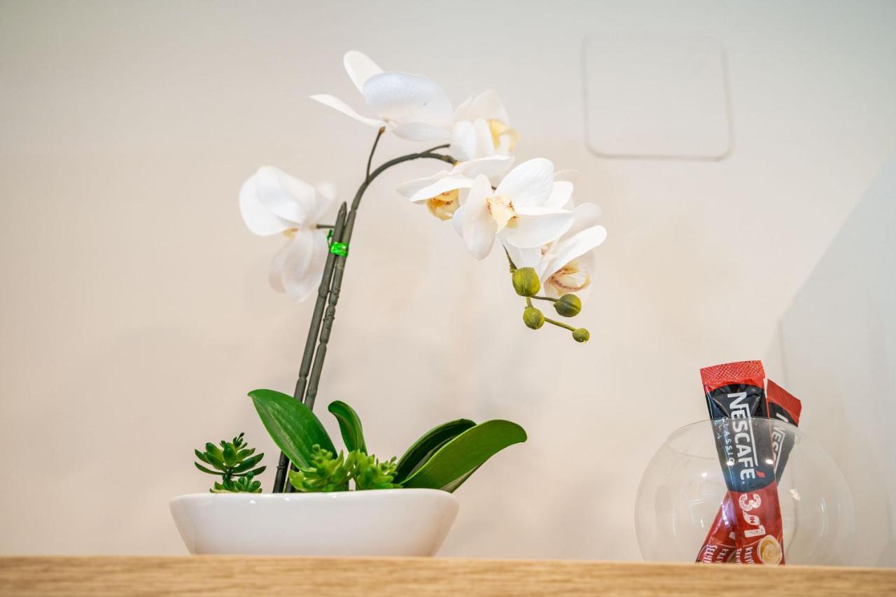 Studio Apartment Lapad ドゥブロブニク エクステリア 写真